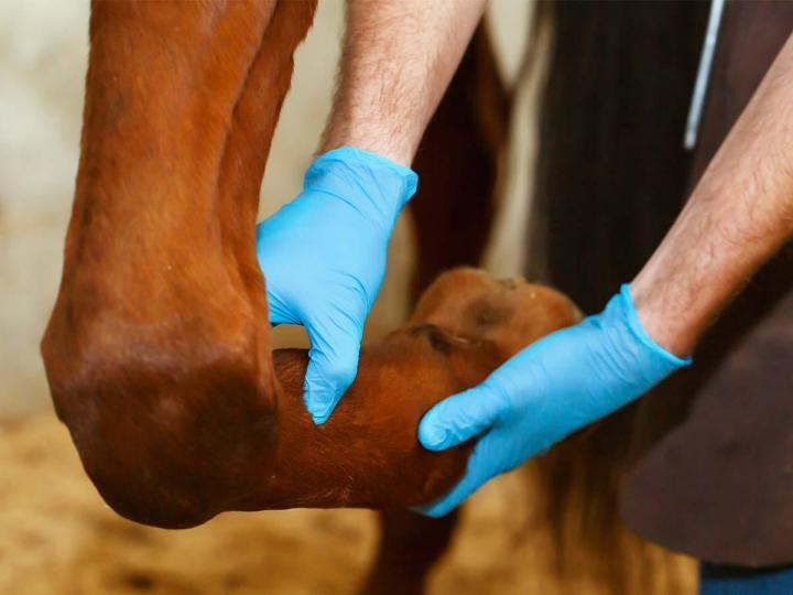 Techniques physiothérapie