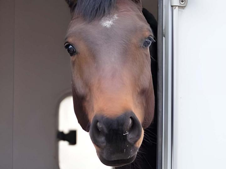 Location des camions - Haute-Marne